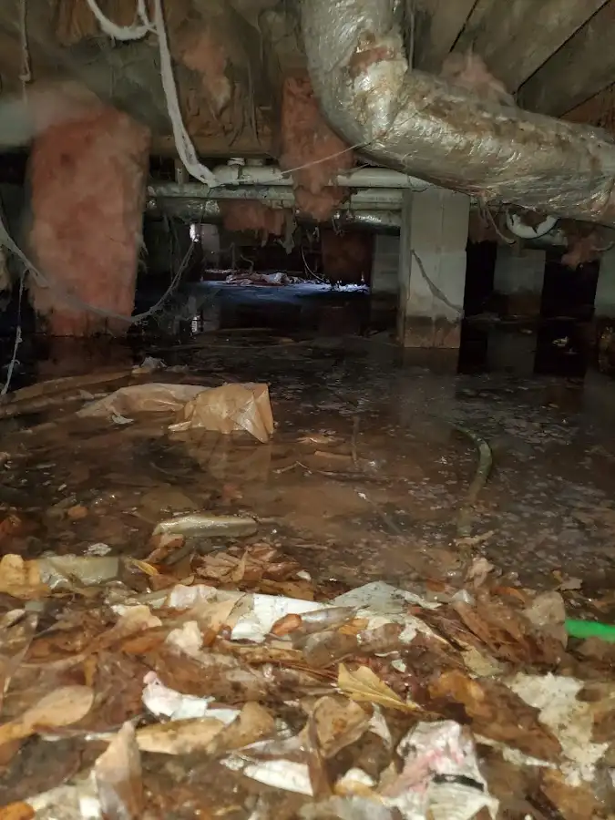 Crawl space flood assessment for Commercial Water Damage Restoration in Ramsey