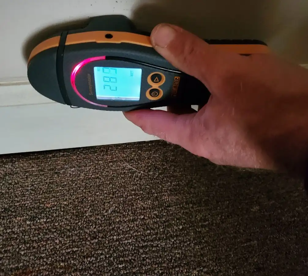 Moisture detection at baseboard during Sewage Cleanup & Sanitation in Ramsey